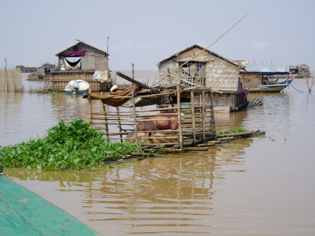 Much of Cambodia lives on and around the Mekong and Tonle Sap